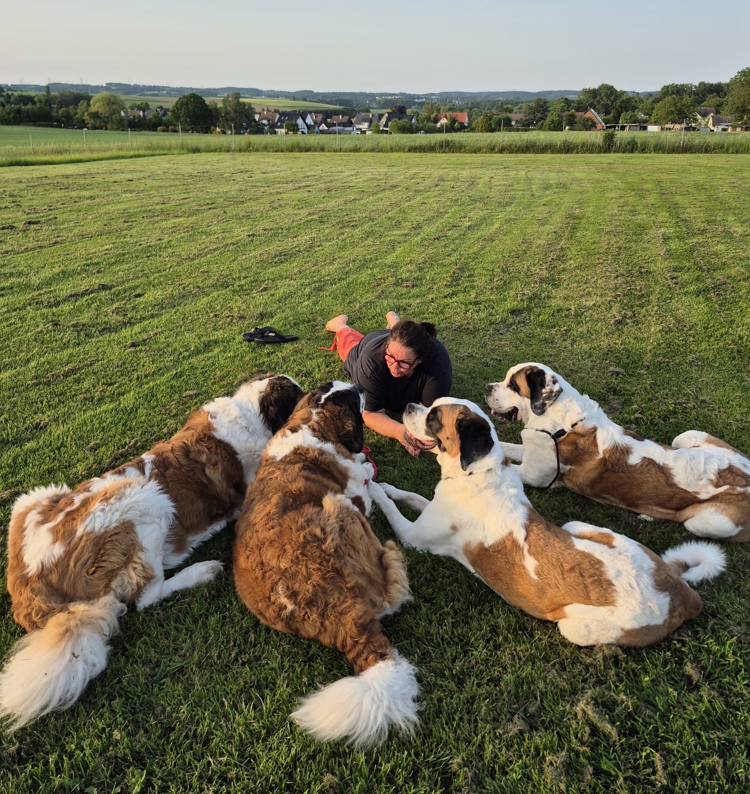 Dramadog Trainerin mit Hunden